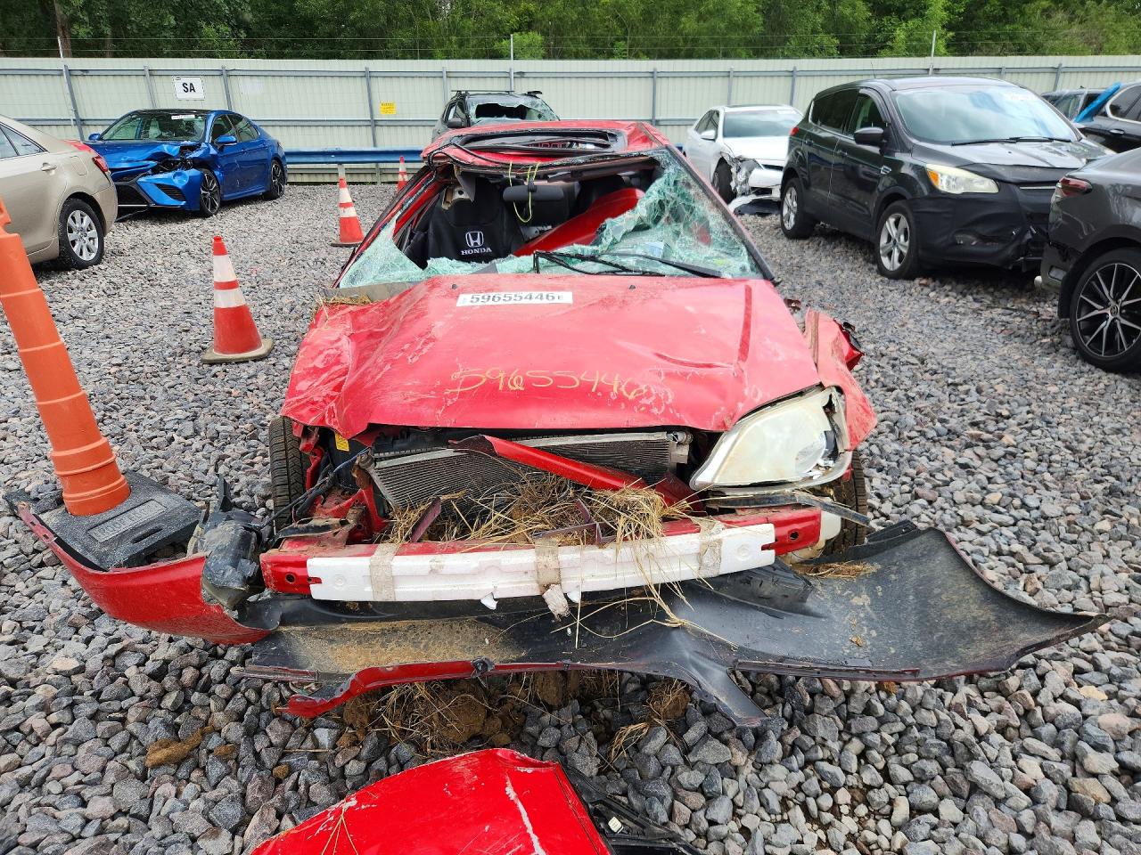 2005 Honda Civic Ex Red vin: 1HGEM21955L039614