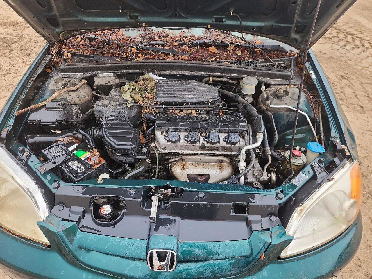 2001 Honda Civic Lx Green vin: 1HGEM22561L042088