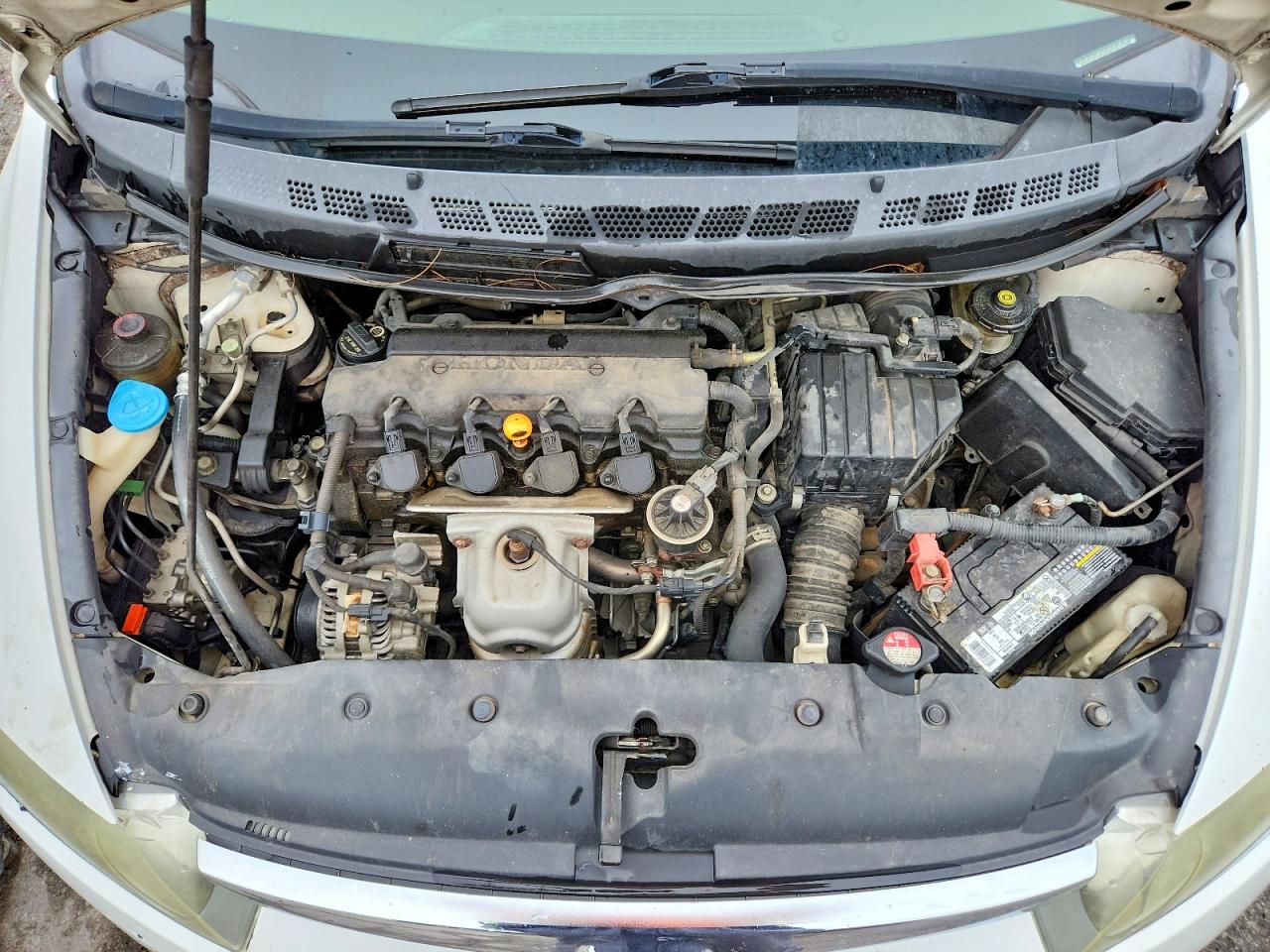 2006 Honda Civic Lx Белый vin: 1HGFA16556L097771