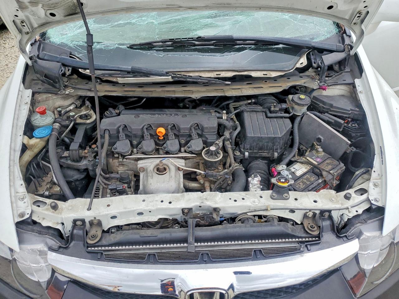 2007 Honda Civic Lx Белый vin: 1HGFA16557L064884