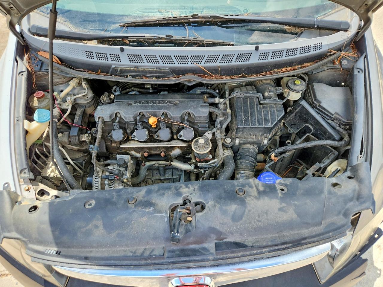 2008 Honda Civic Tan vin: 1HGFA16558L041350