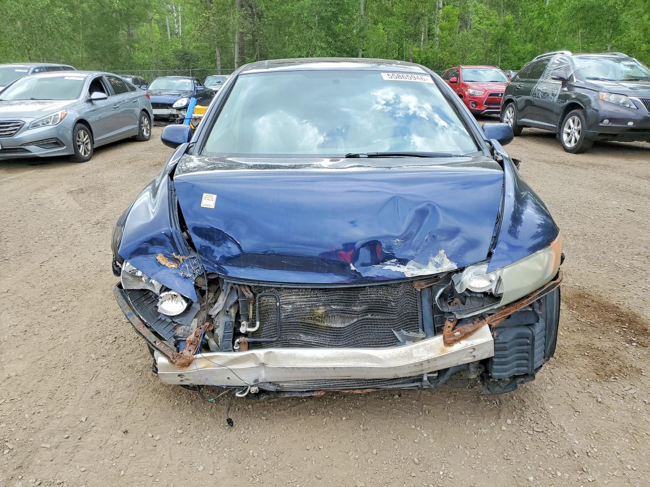 2006 Honda Civic Ex Blue vin: 1HGFA16816L801569