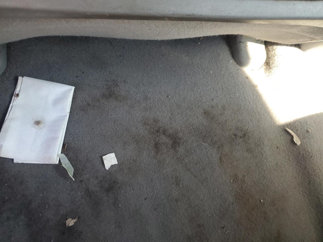 2009 Honda Civic Ex Синий vin: 1HGFA16889L026109 Damage: Left Rear Carpet, Stained, Permanent