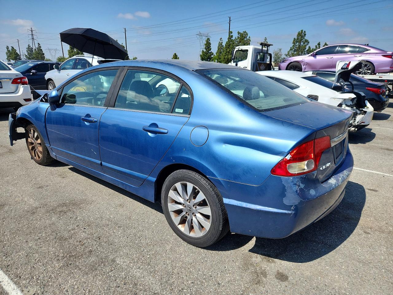 2009 Honda Civic Ex Blue vin: 1HGFA16899L012283