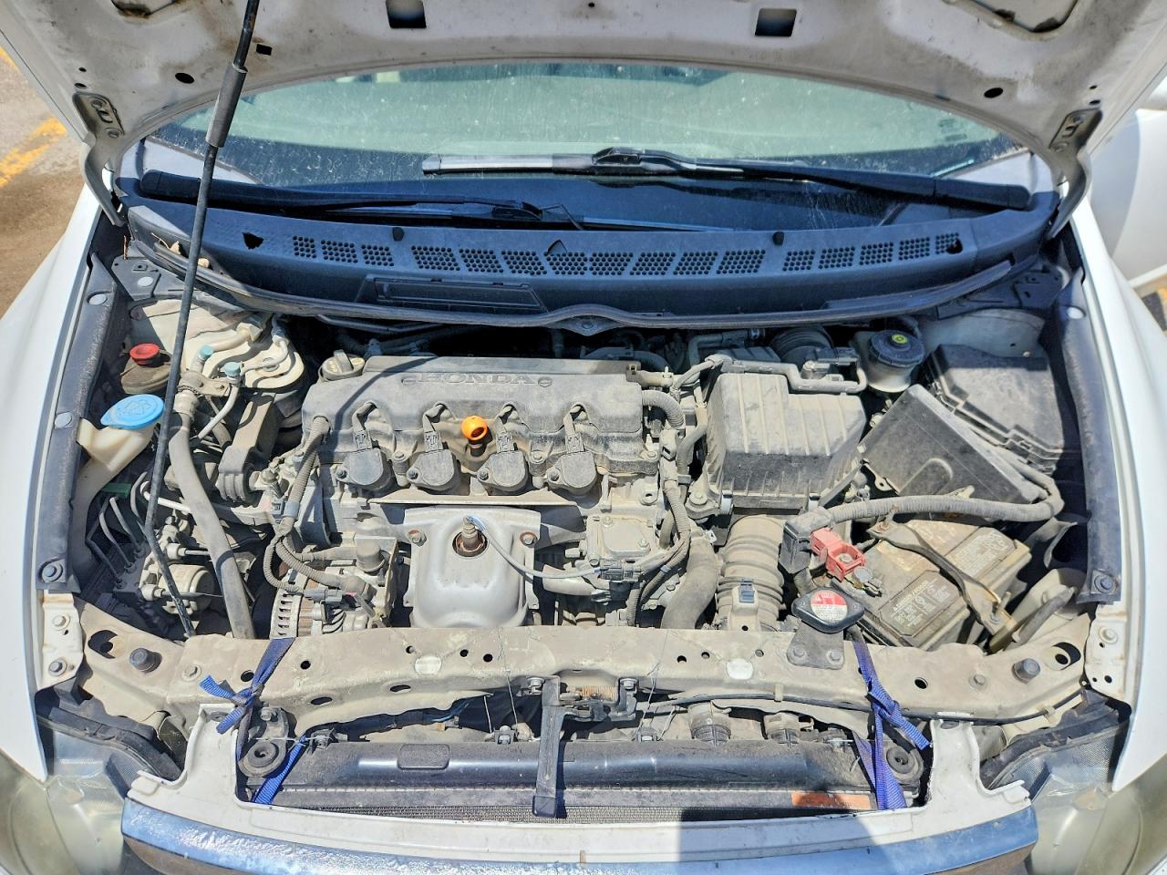 2008 Honda Civic Gx Белый vin: 1HGFA465X8L000892