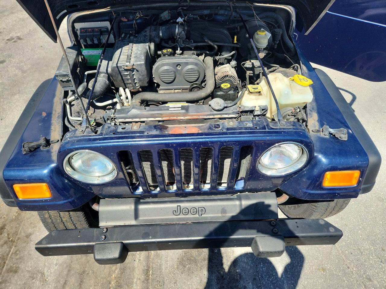 2006 Jeep Wrangler / Tj Se Синий vin: 1J4FA29126P767065