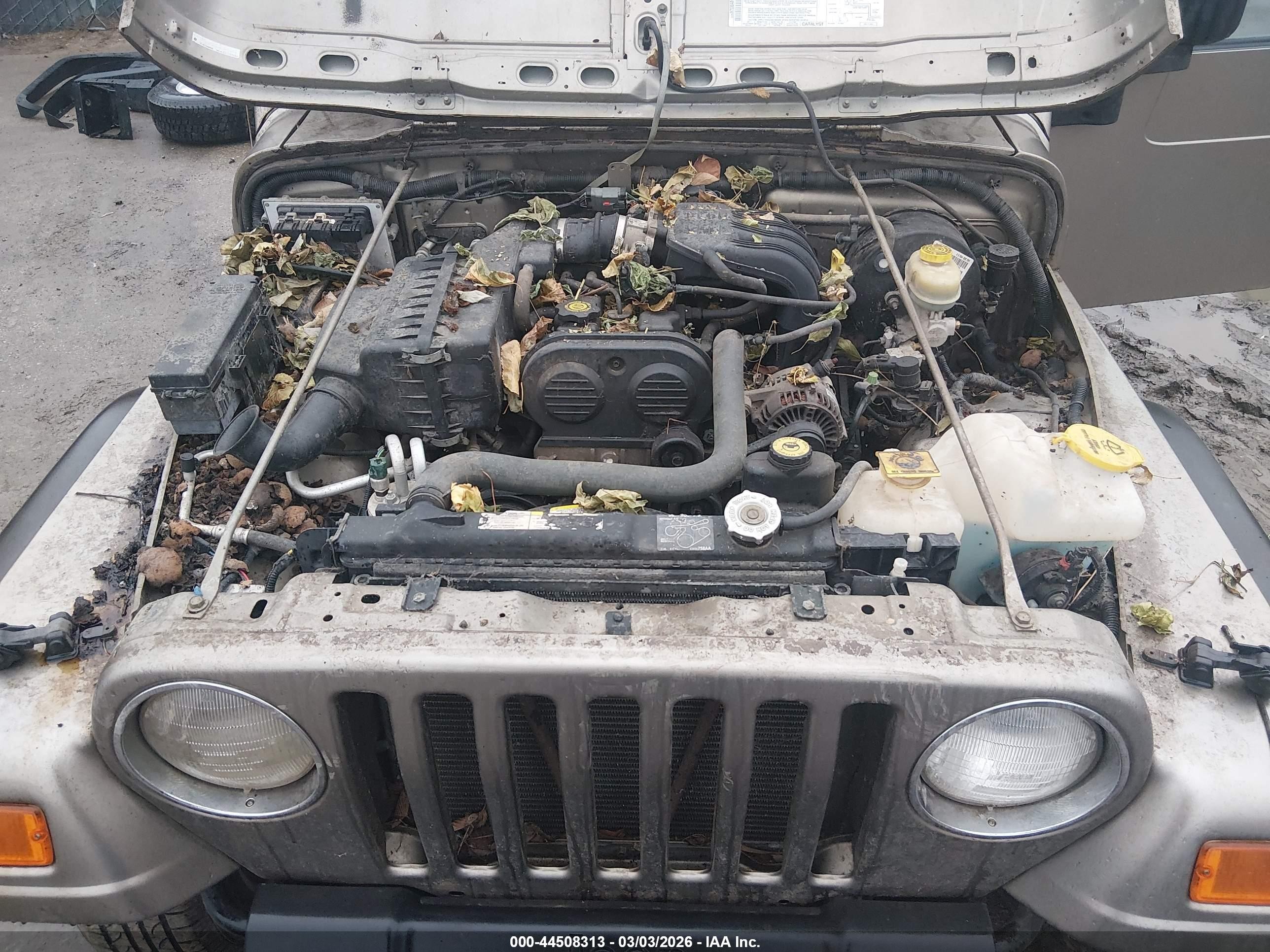 2004 Jeep Wrangler Se Beige vin: 1J4FA29164P721932
