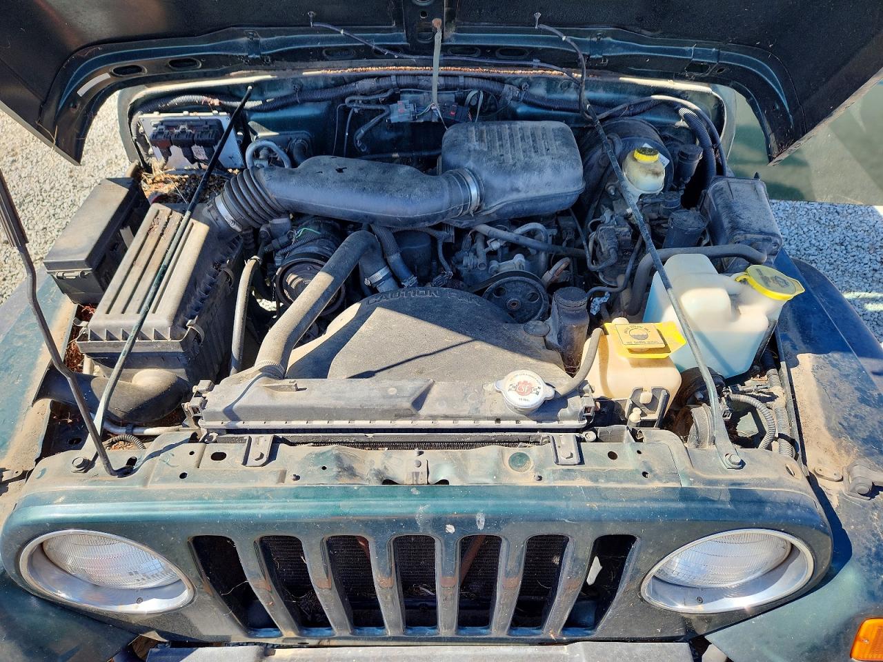 2001 Jeep Wrangler / Tj Se Green vin: 1J4FA29P51P314720