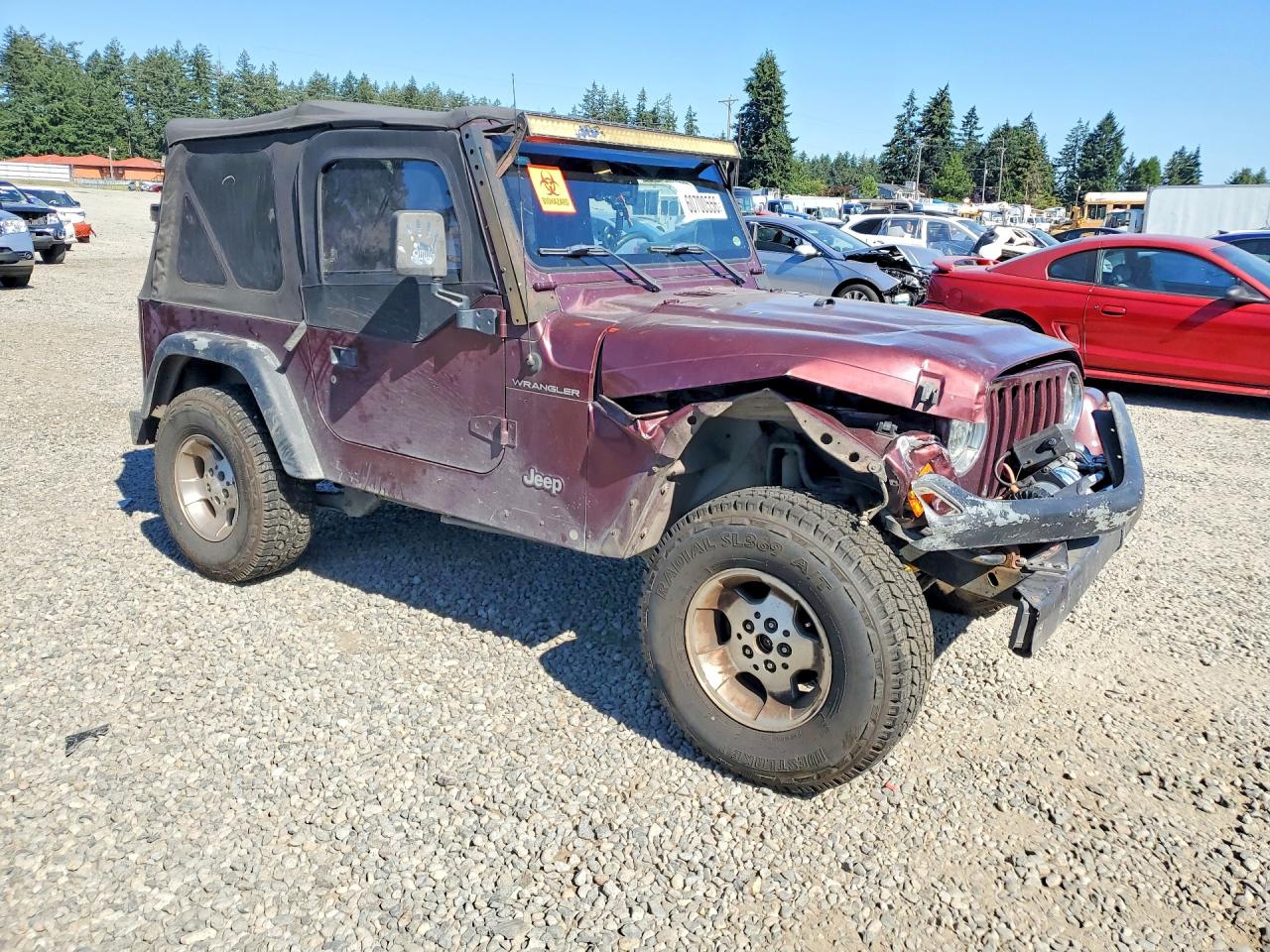 2001 Jeep Wrangler / Tj Se Burgundy vin: 1J4FA29P61P311261