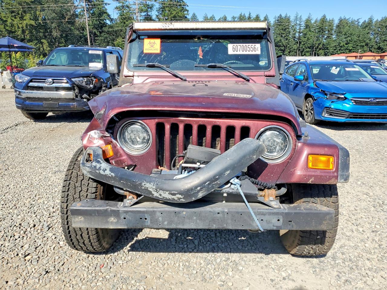 2001 Jeep Wrangler / Tj Se Burgundy vin: 1J4FA29P61P311261