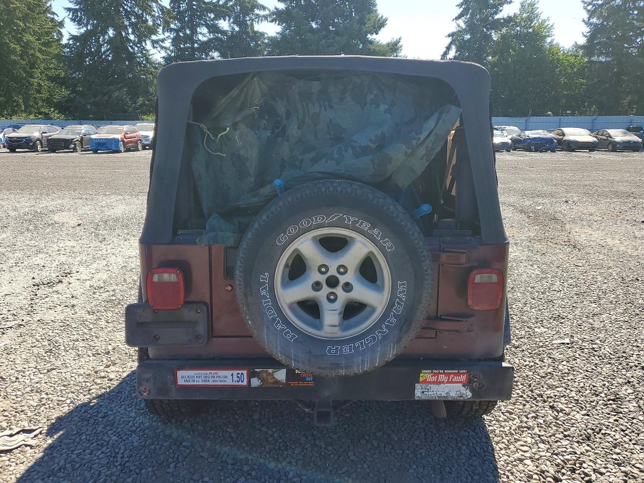 2001 Jeep Wrangler / Tj Se Burgundy vin: 1J4FA29P61P311261