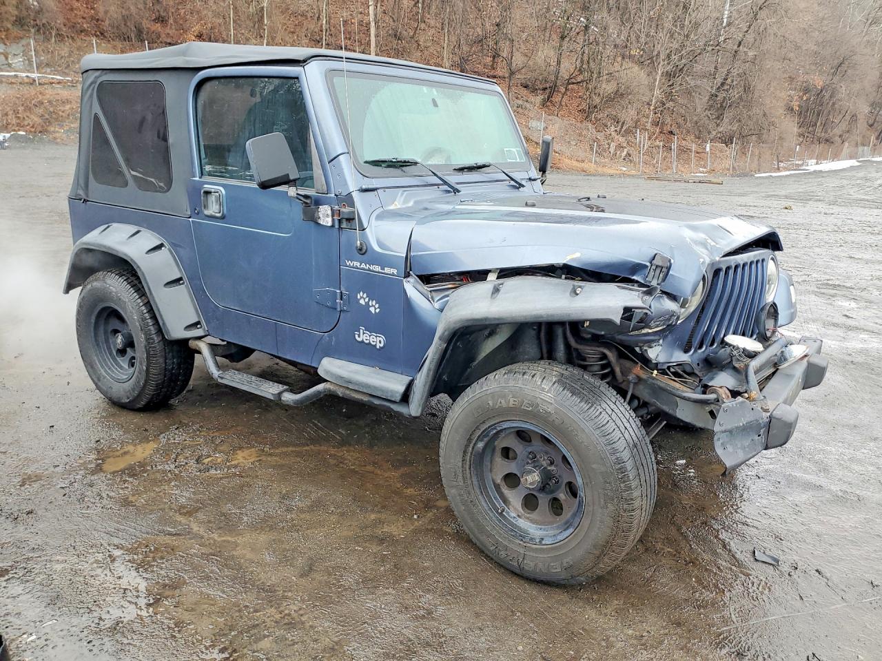 2002 Jeep Wrangler / Tj Se Серый vin: 1J4FA29P62P740997