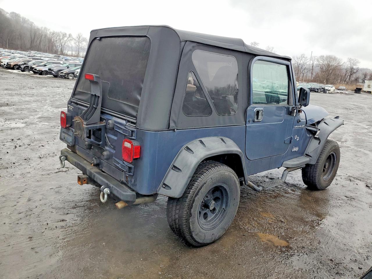 2002 Jeep Wrangler / Tj Se Серый vin: 1J4FA29P62P740997