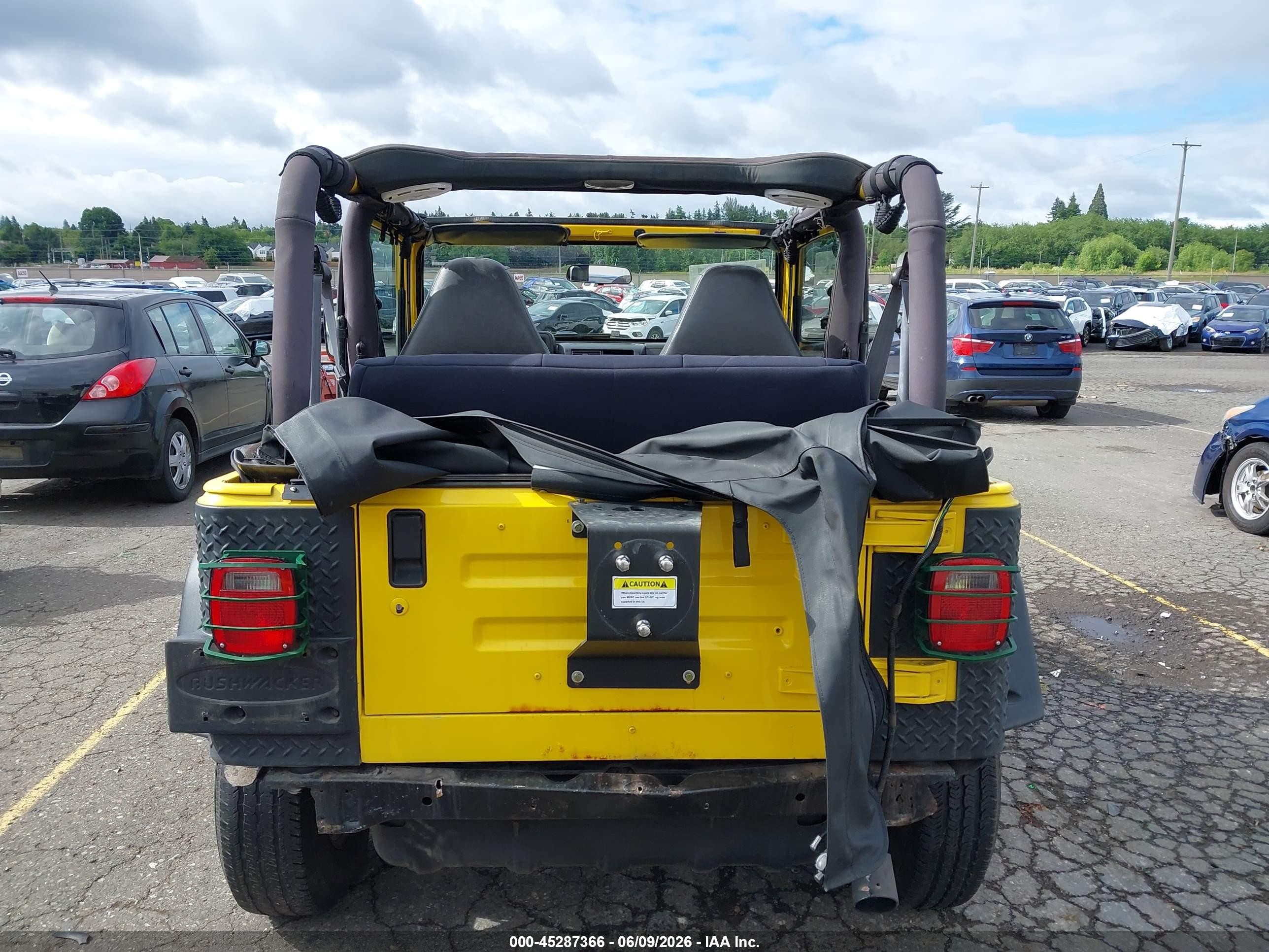 2002 Jeep Wrangler X Yellow vin: 1J4FA39S02P759457