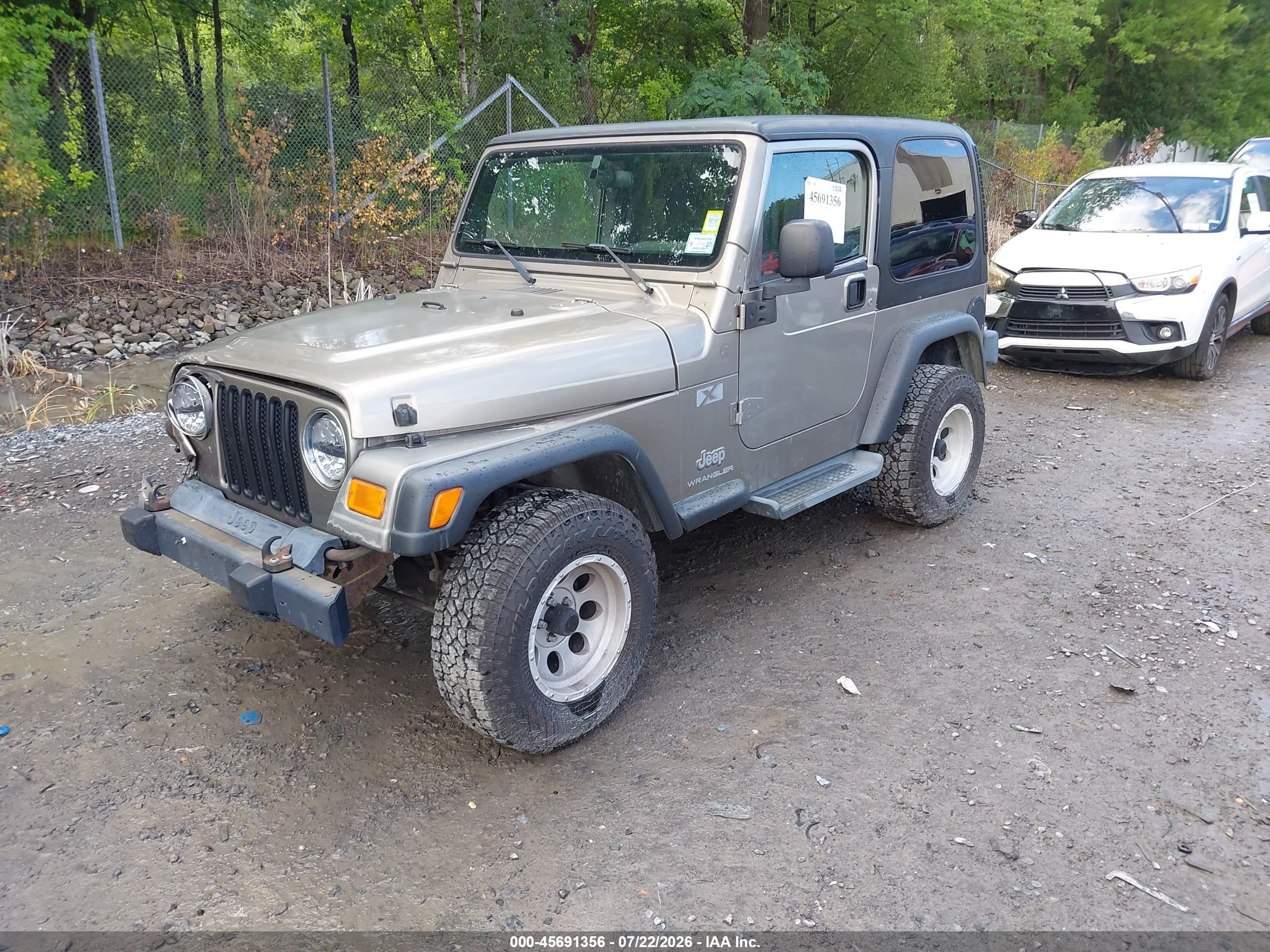 2004 Jeep Wrangler X Beige vin: 1J4FA39S54P793073