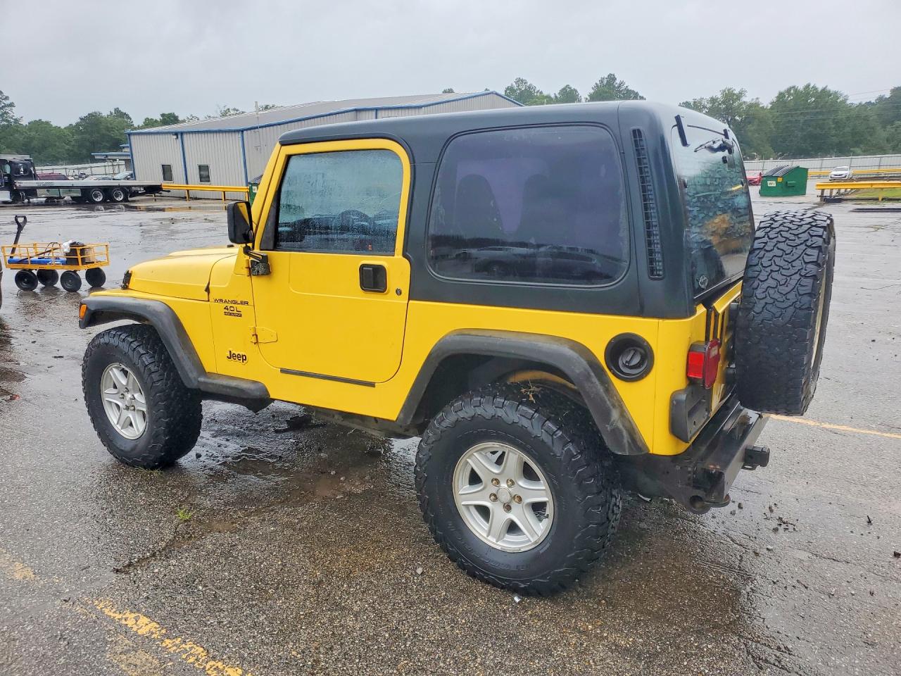 2002 Jeep Wrangler / Tj X Желтый vin: 1J4FA39S72P719179
