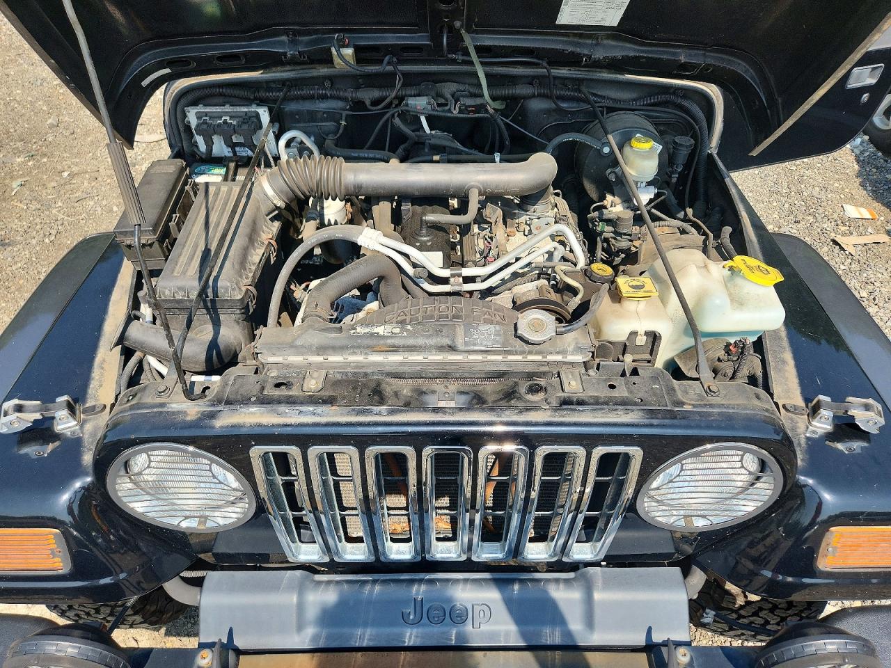2004 Jeep Wrangler X Black vin: 1J4FA39SX4P801586
