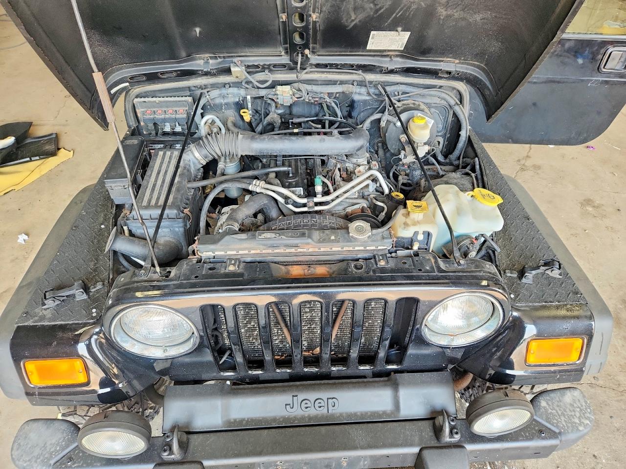 2006 Jeep Wrangler / Tj Unlimited Черный vin: 1J4FA44S76P735112