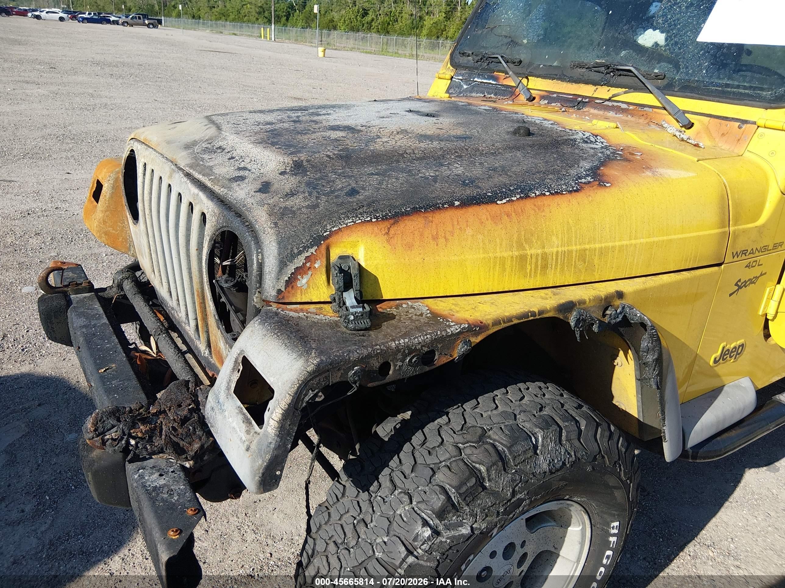 2001 Jeep Wrangler Sport Yellow vin: 1J4FA49S21P334102