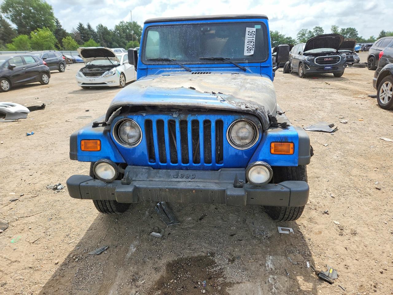 2002 Jeep Wrangler / Tj Sport Синий vin: 1J4FA49S22P765086