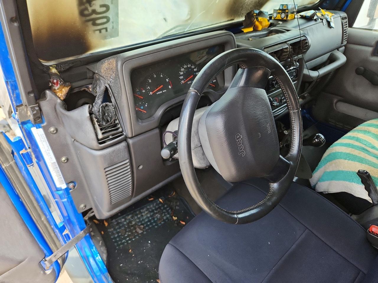 2002 Jeep Wrangler / Tj Sport Синий vin: 1J4FA49S22P765086