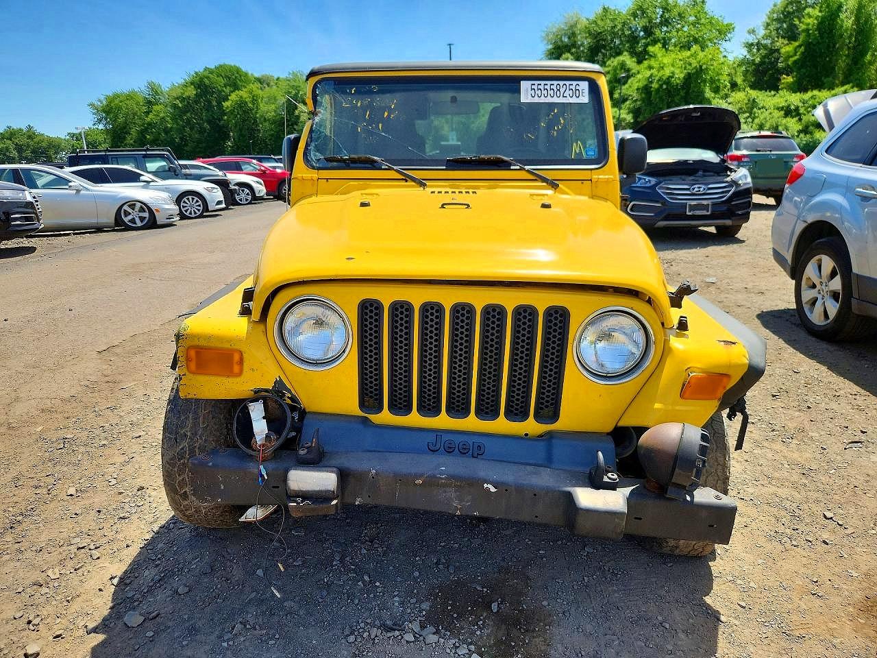 2003 Jeep Wrangler / Tj Sport Yellow vin: 1J4FA49S43P369971