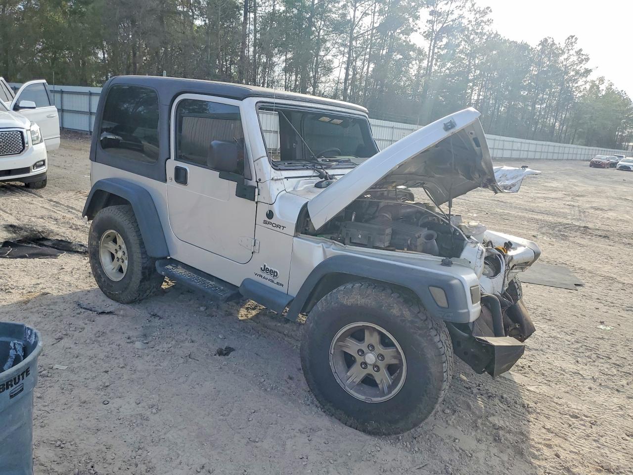2004 Jeep Wrangler / Tj Sport Gray vin: 1J4FA49S54P723627