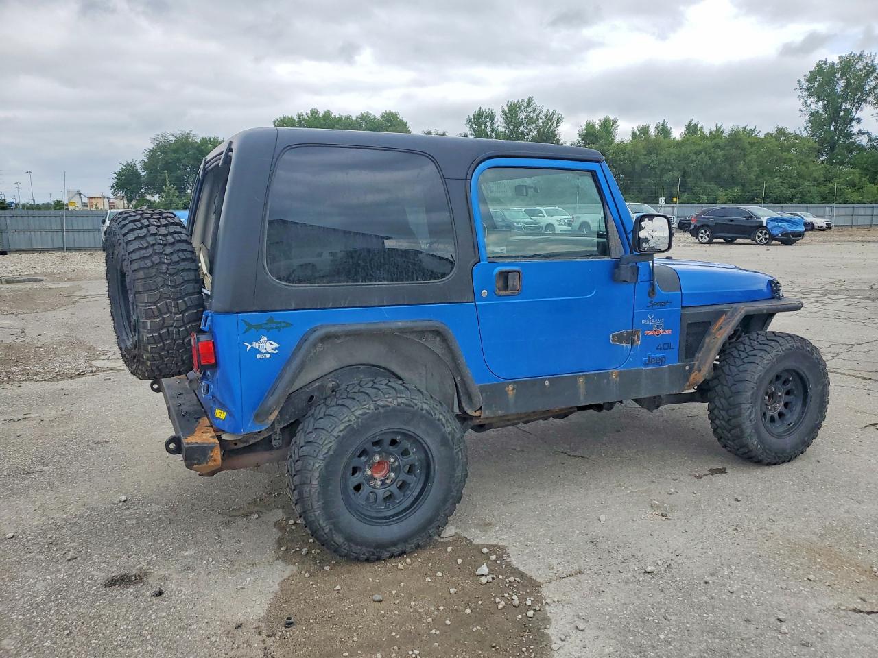 2003 Jeep Wrangler / Tj Sport Синий vin: 1J4FA49S63P324868
