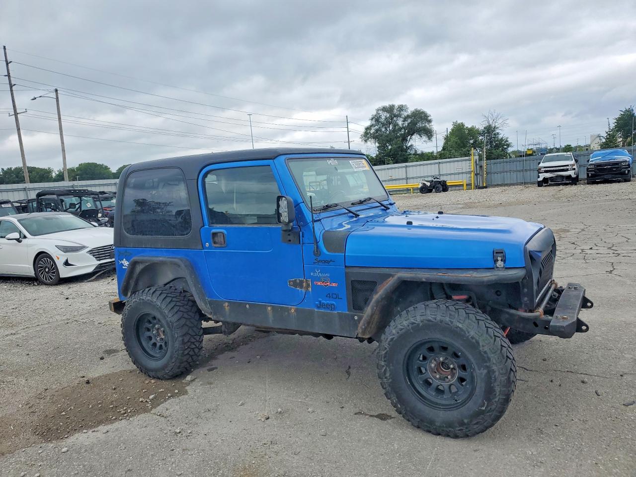 2003 Jeep Wrangler / Tj Sport Синий vin: 1J4FA49S63P324868