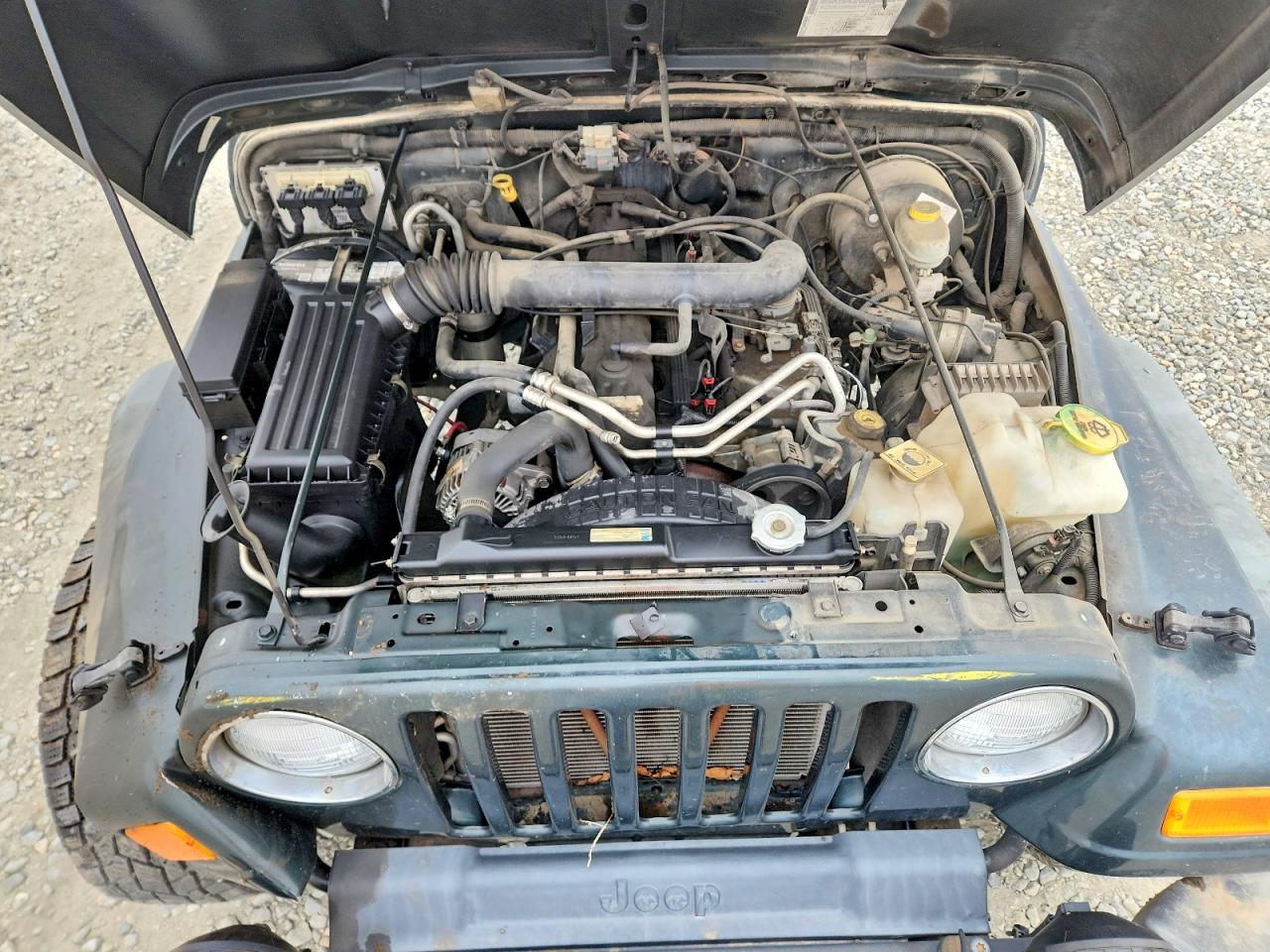 2004 Jeep Wrangler / Tj Sport Green vin: 1J4FA49S64P747788