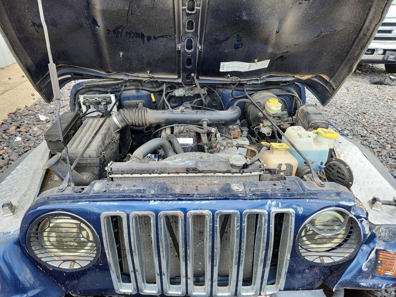 2000 Jeep Wrangler / Tj Sport Синий vin: 1J4FA49S9YP804703