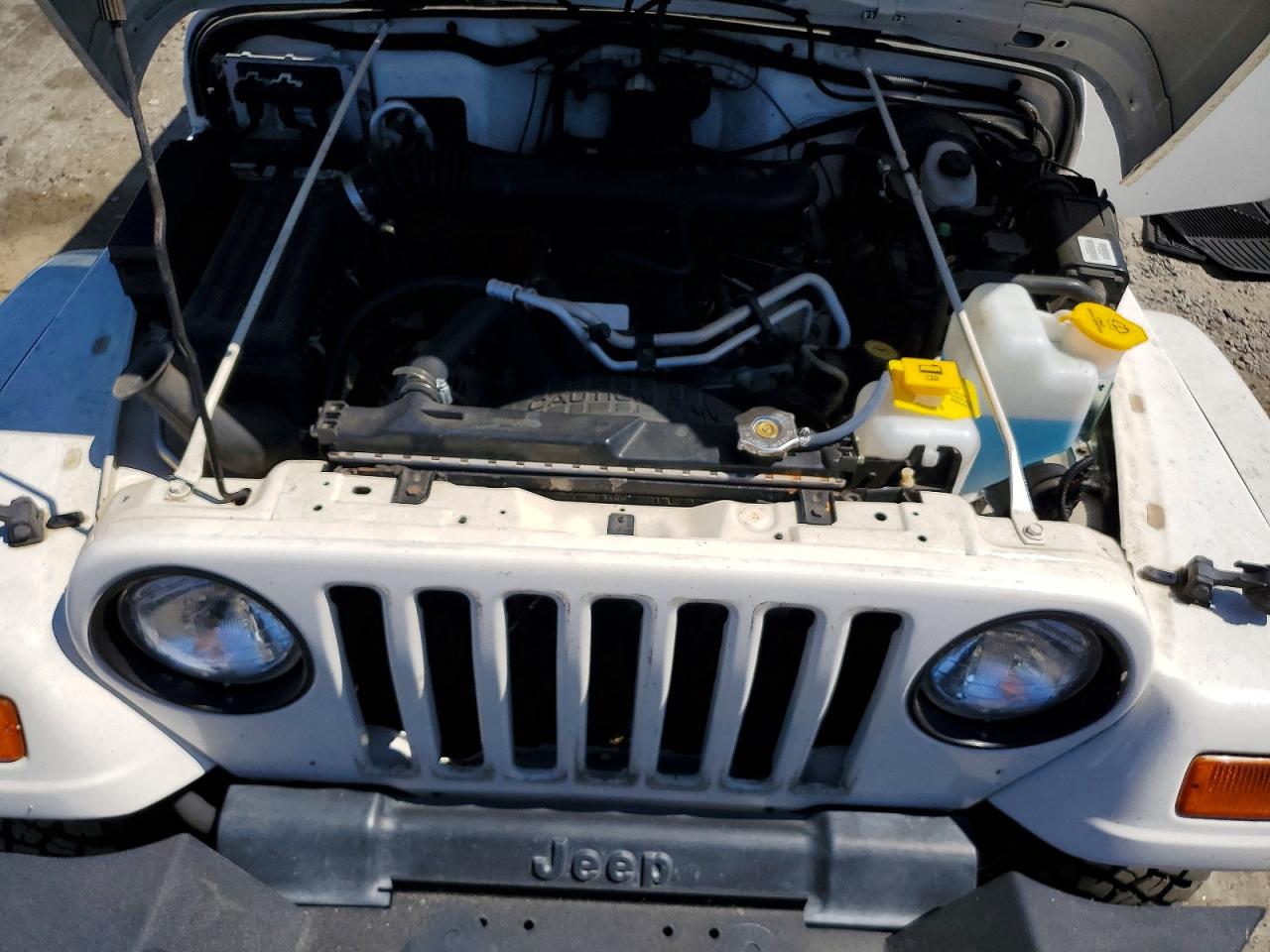 2002 Jeep Wrangler / Tj Sahara White vin: 1J4FA59S12P731775