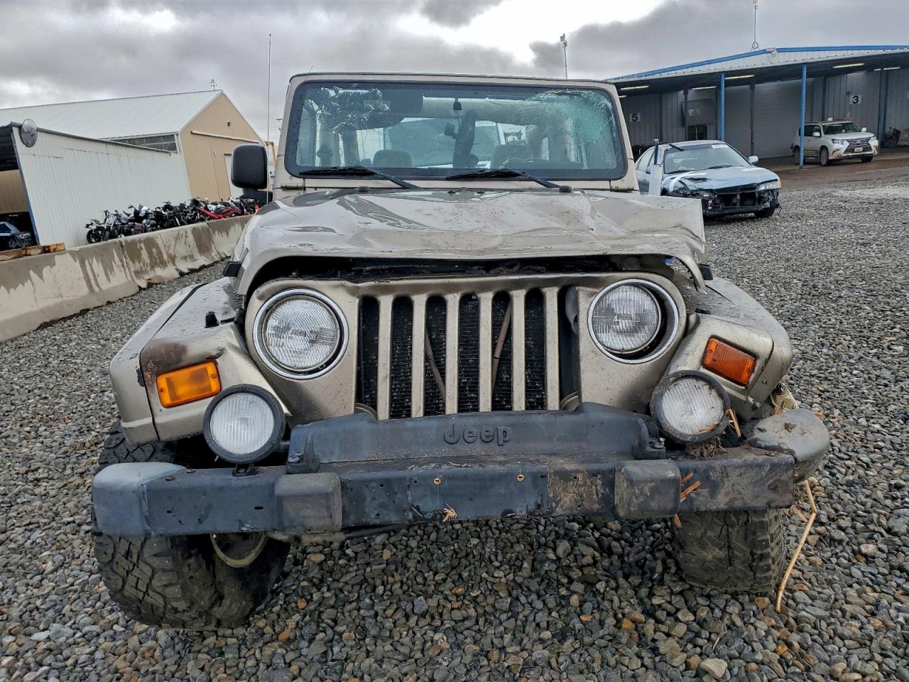 2003 Jeep Wrangler / Tj Sahara Tan vin: 1J4FA59S13P311953