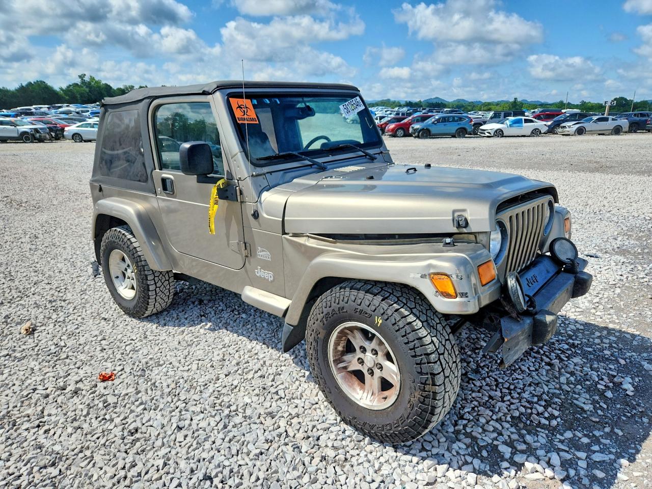 2004 Jeep Wrangler / Tj Sahara Tan vin: 1J4FA59S14P712680