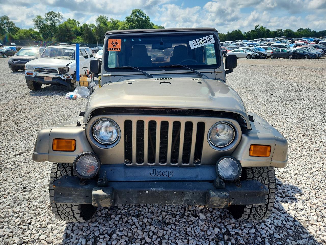 2004 Jeep Wrangler / Tj Sahara Tan vin: 1J4FA59S14P712680