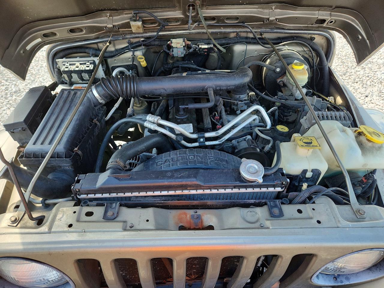 2004 Jeep Wrangler / Tj Sahara Tan vin: 1J4FA59S14P712680
