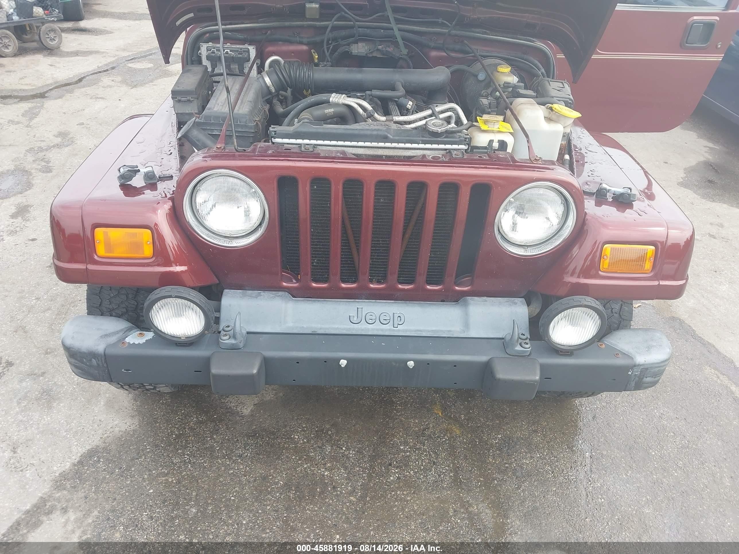 2001 Jeep Wrangler Sahara Бордовый vin: 1J4FA59S31P373982