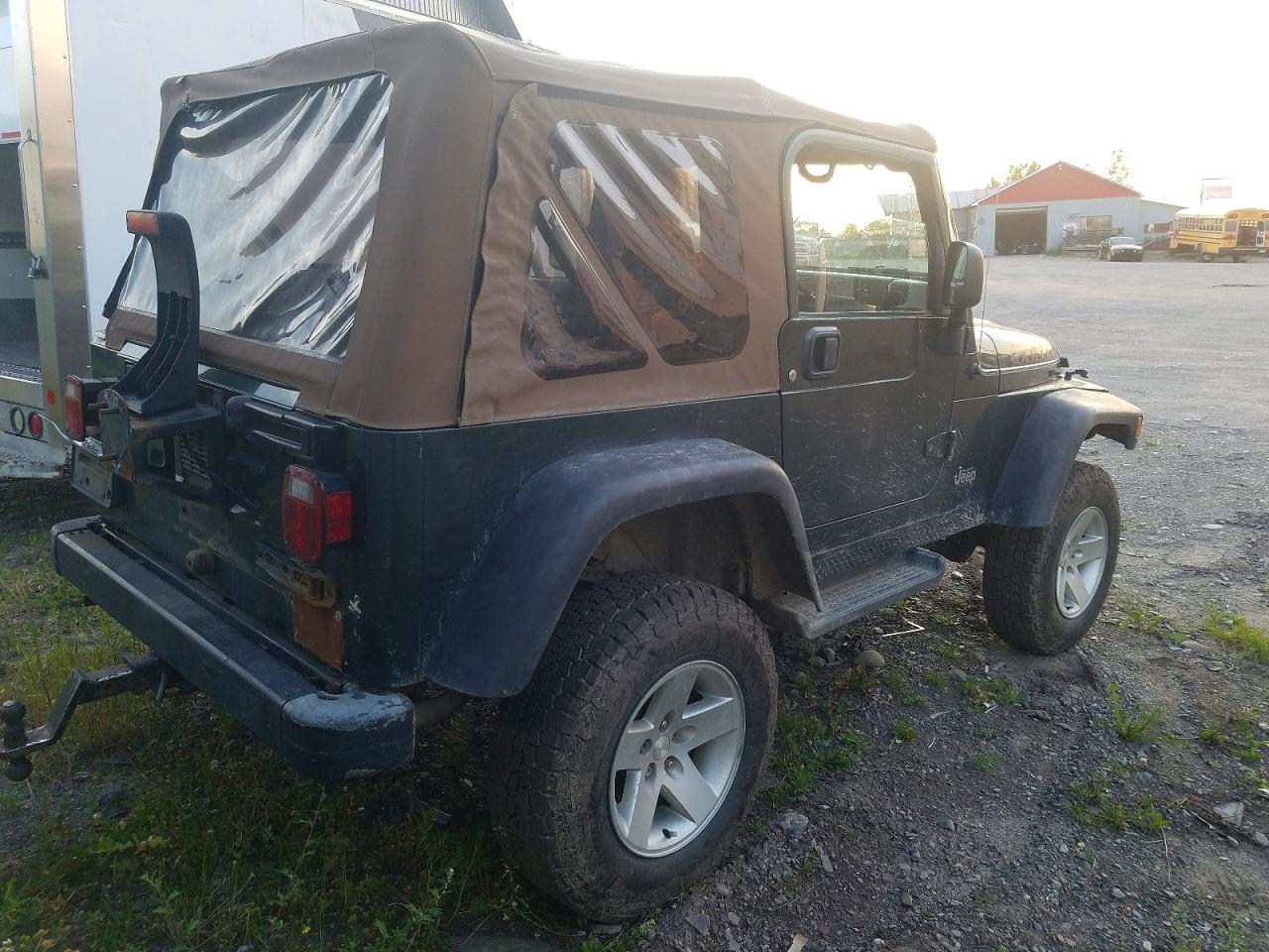 2004 Jeep Wrangler / Tj Sahara Green vin: 1J4FA59S34P769513