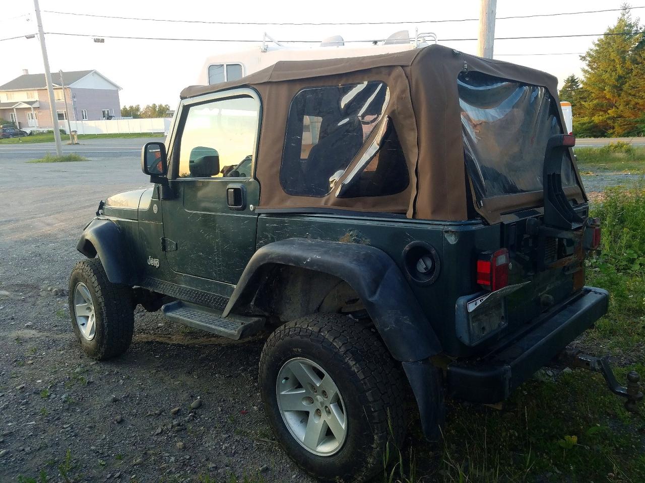 2004 Jeep Wrangler / Tj Sahara Green vin: 1J4FA59S34P769513