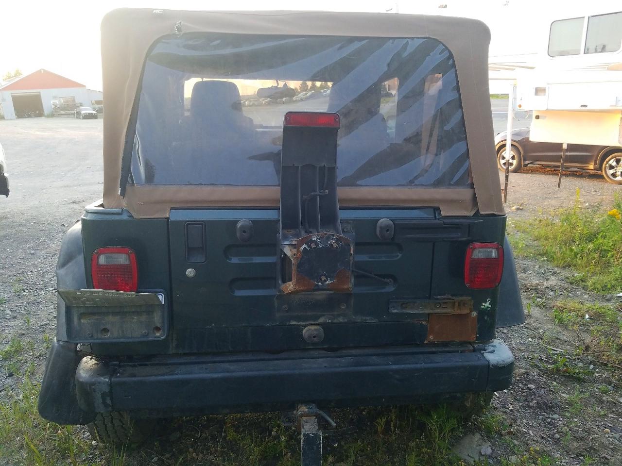 2004 Jeep Wrangler / Tj Sahara Green vin: 1J4FA59S34P769513