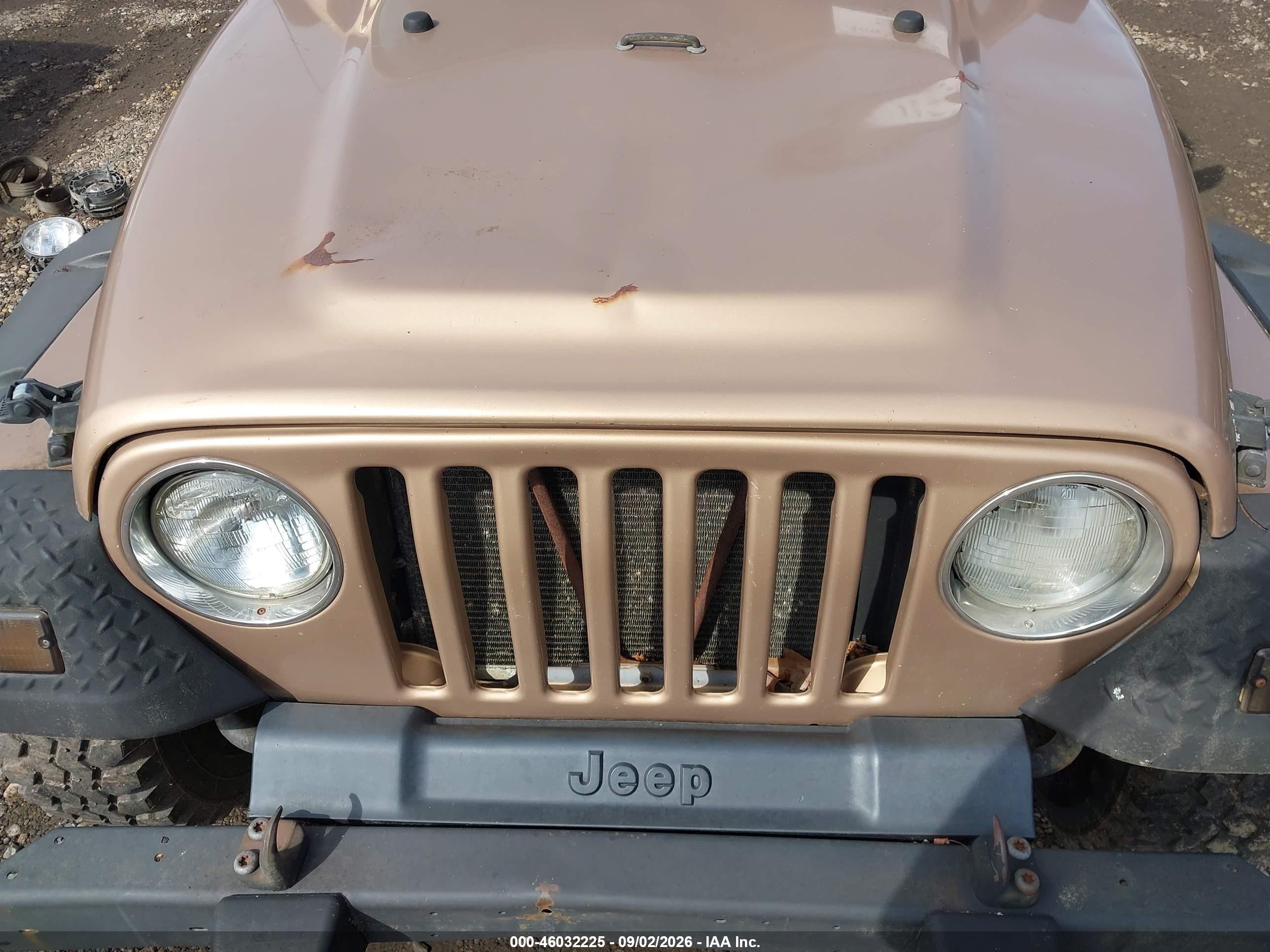 2002 Jeep Wrangler Sahara Коричневый vin: 1J4FA59S42P749204