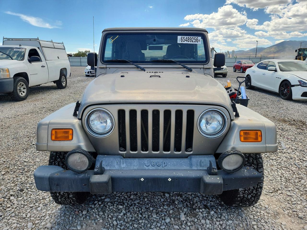 2004 Jeep Wrangler / Tj Sahara Gold vin: 1J4FA59S54P738649