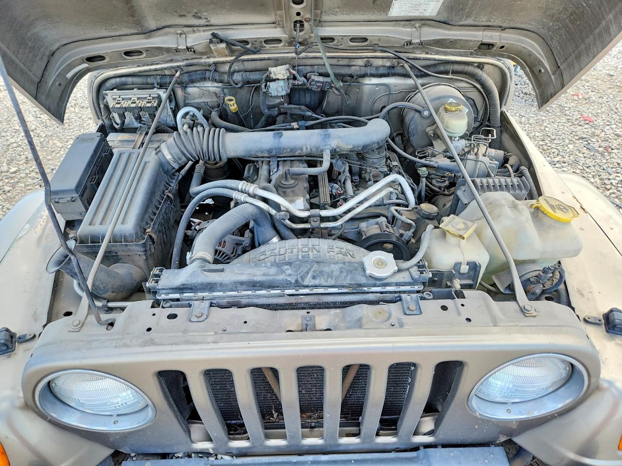 2004 Jeep Wrangler / Tj Sahara Gold vin: 1J4FA59S54P738649