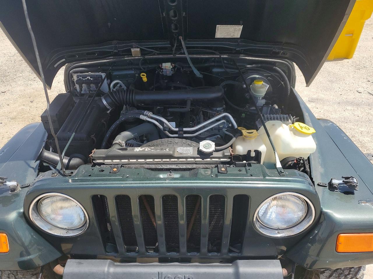 2004 Jeep Wrangler / Tj Sahara Green vin: 1J4FA59S64P768436