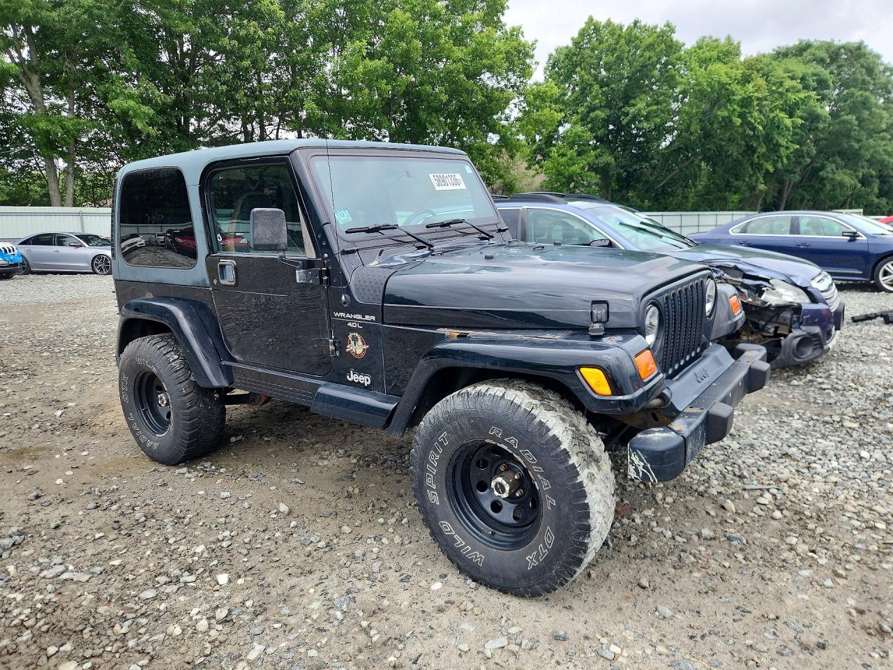 2001 Jeep Wrangler / Tj Sahara Black vin: 1J4FA59S91P316718