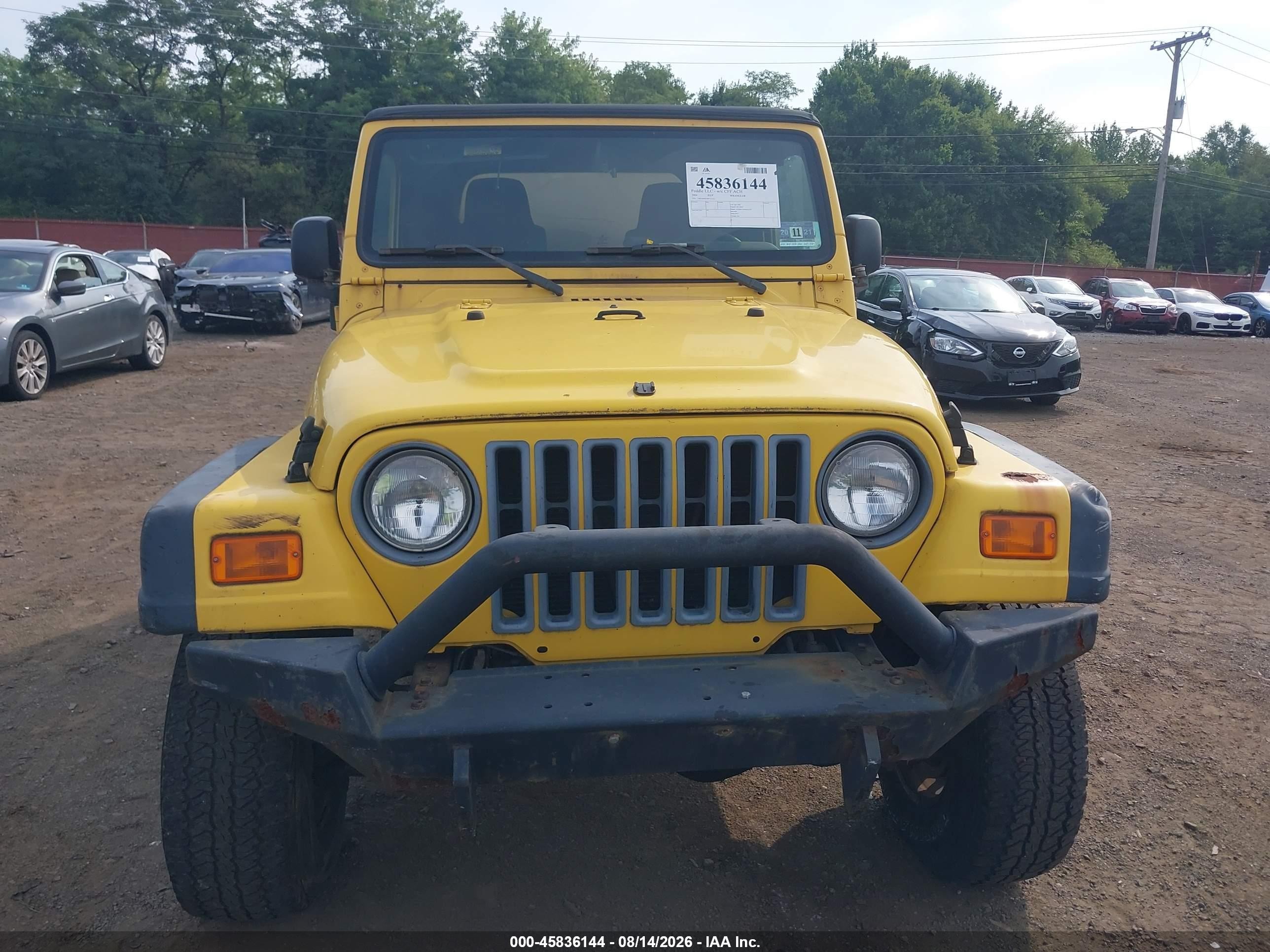 2004 Jeep Wrangler Rubicon Yellow vin: 1J4FA69S74P711331