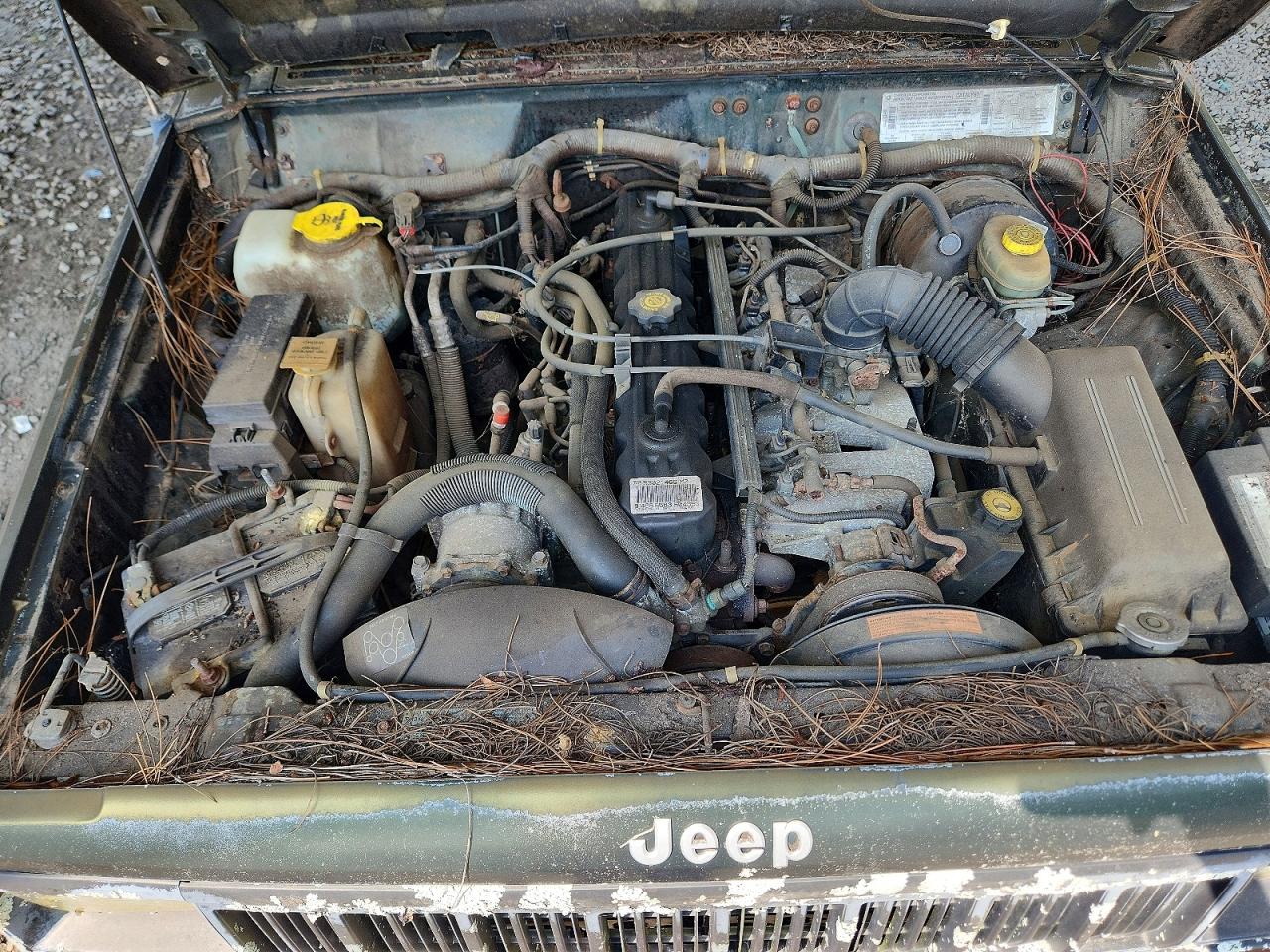 1996 Jeep Cherokee Sport Green vin: 1J4FJ68S5TL181044