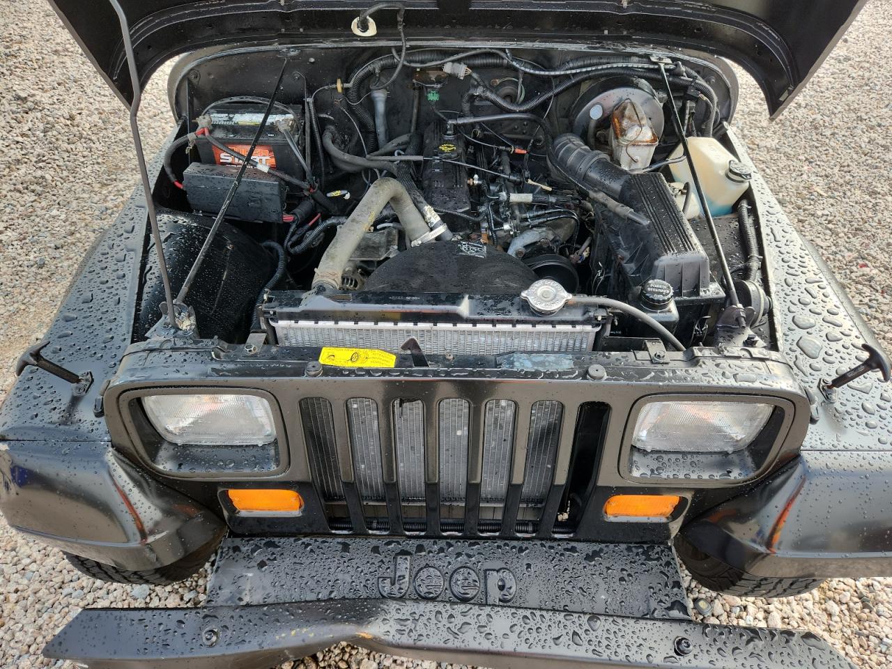 1993 Jeep Wrangler / Yj S Black vin: 1J4FY19P2PP263949