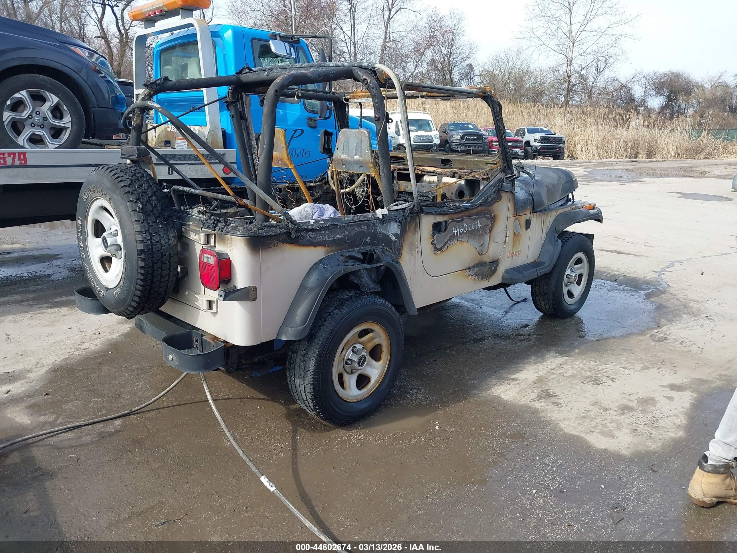 1995 Jeep Wrangler / Yj S/rio Grande Champagne vin: 1J4FY19P4SP290935