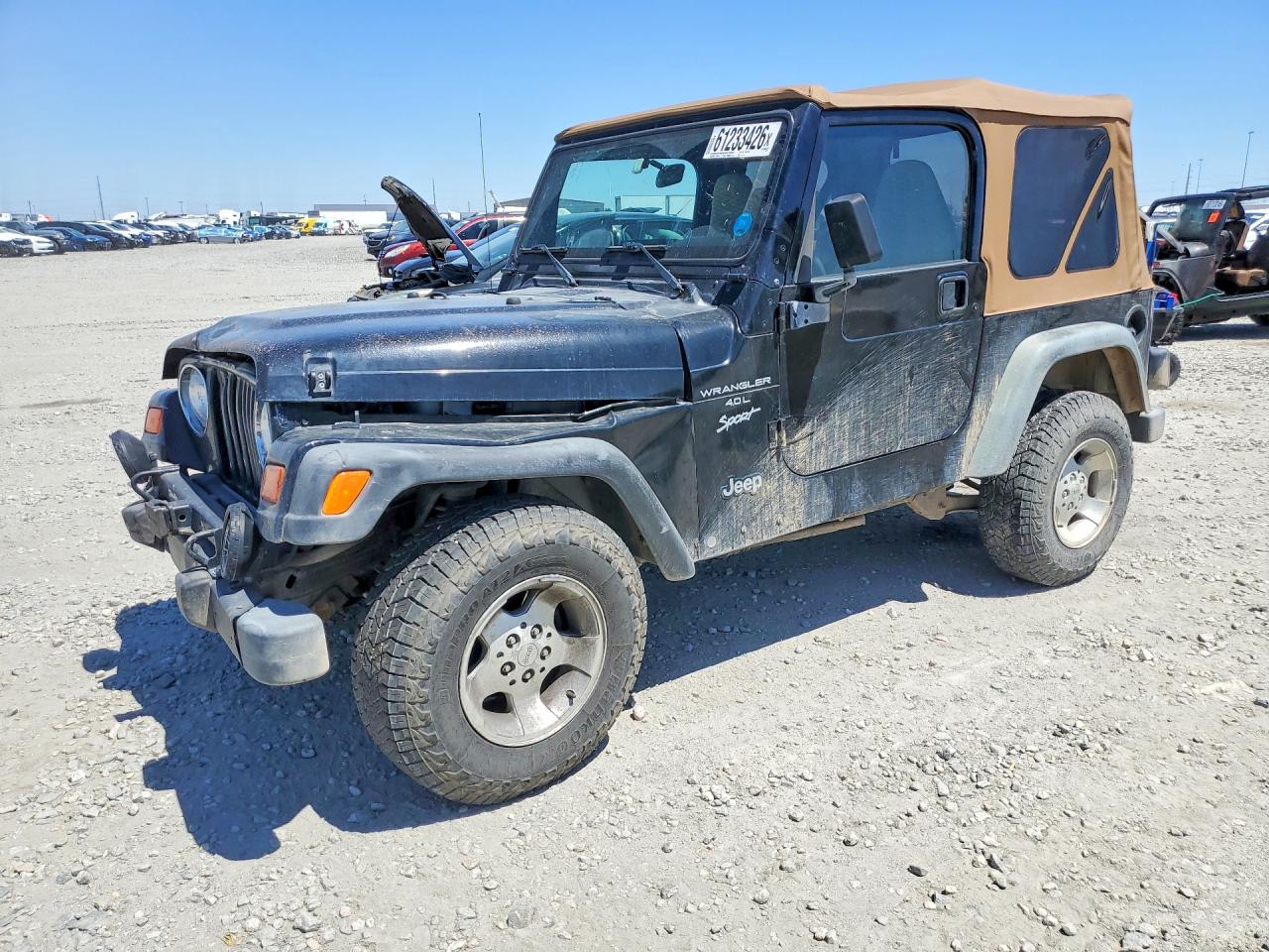 1999 Jeep Wrangler Se Черный vin: 1J4FY19S9XP460945